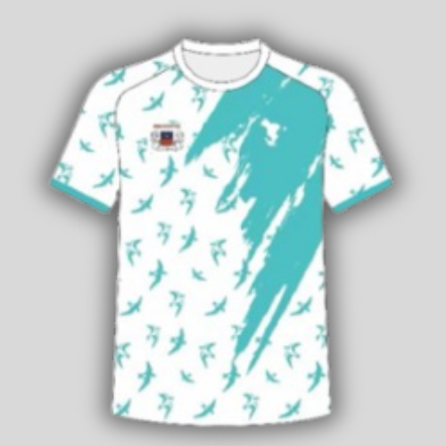 Maillot Mayotte-moina gnugni